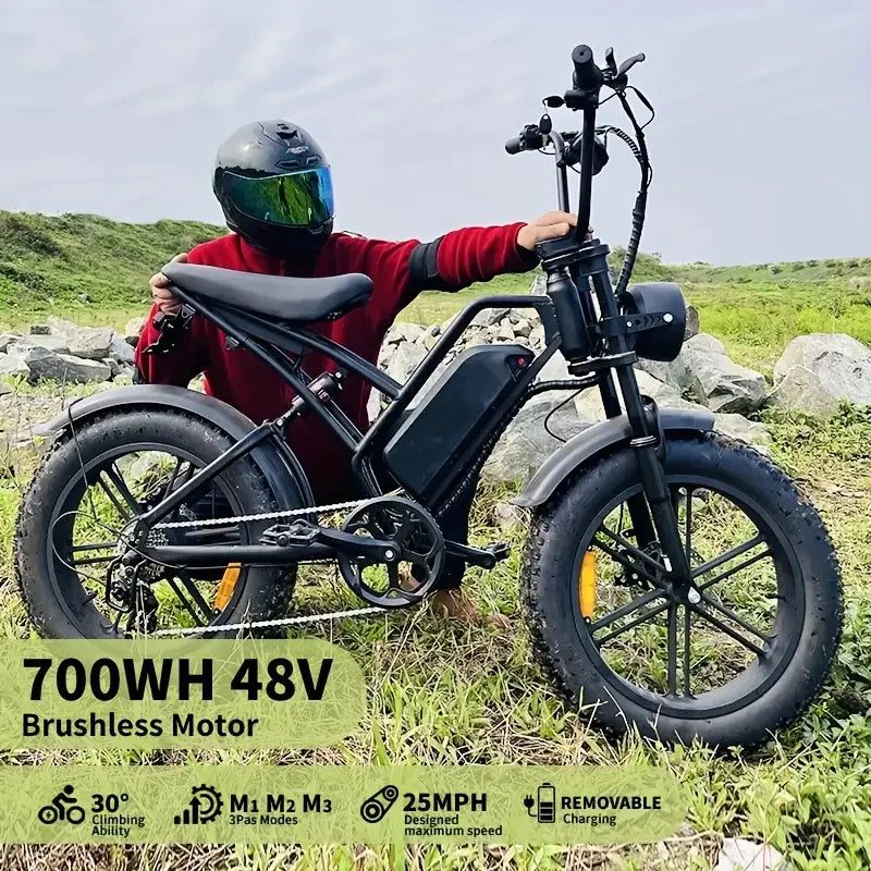 48V/18AH Battery 700W Motor, 20" Fat Tire Electric Bike