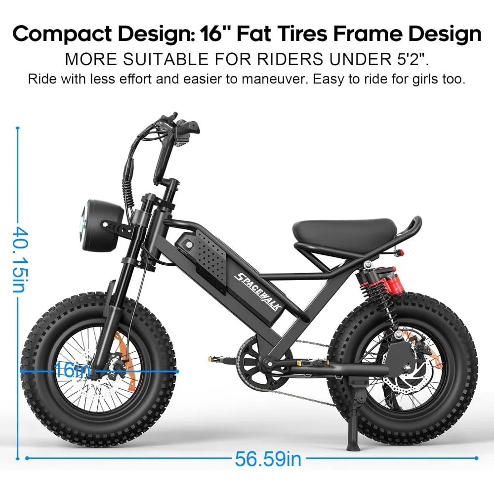 16"/20" Fat Tire Ebike