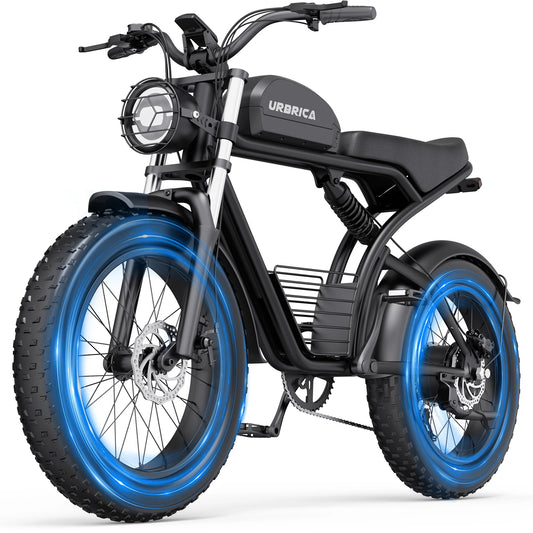 20" Fat Tire Dirt Bike Shamano 7-Speed  Electric Bike