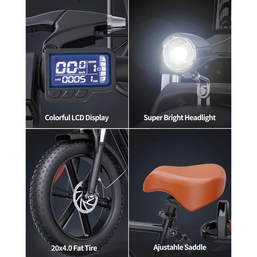 2 Seater Electric Bike
