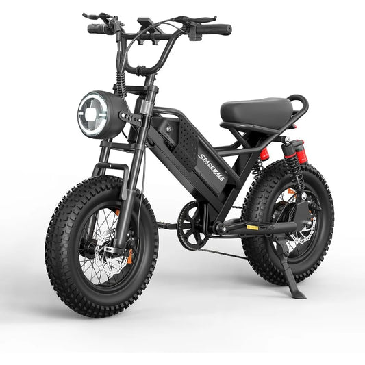 16"/20" Fat Tire Ebike